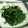 ハッピーわんダフル♪'s cooksnap of when they made おかひじきのナムル.