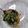 イチゴ、イチゴ。's cooksnap of when they made 豆苗とわかめのなめ茸和え♪.