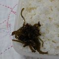 イチゴ、イチゴ。's cooksnap of when they made 赤紫蘇と昆布の佃煮☆鰹節入り♪.