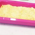 りくさきんちゅ's cooksnap of when they made おからDiet♪ヨーグルトオレンジケーキ.