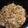 MrsMoon's cooksnap of when they made 炊き込みご飯.