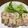 クックUI71Q8☆'s cooksnap of when they made 電子レンジでヘルシー生ハムの鶏ささみ巻き.