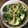 碧1448's cooksnap of when they made ほうれん草のたまご丼.
