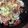 ラグラス's cooksnap of when they made ナスとトマトのチーズ焼き.