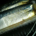 はるすずv's cooksnap of when they made ～秋刀魚の下処理のやり方～.