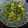 P氏＊'s cooksnap of when they made お揚げと豆苗のさっと炒め.