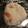 クック84R7JH☆'s cooksnap of when they made おにぎりの具【紅しょうが】.