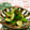 赤い電話's cooksnap of when they made 居酒屋さん風★きゅうりの浅漬け.