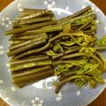 減塩パパ's cooksnap of when they made ワラビのアク抜き（重曹版）.
