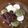 おかめピーコ's cooksnap of when they made モチモチ♪よもぎ団子.