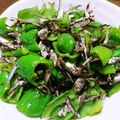 888kawa's cooksnap of when they made 甘唐辛子とジャコの炒め♪.
