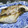 ジョングレ's cooksnap of when they made 魚焼きレンジで簡単に鯛の塩焼き.