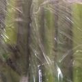 もきち☆'s cooksnap of when they made ニンニクの芽◎冷凍.