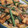 クックEYZLX6☆'s cooksnap of when they made 韓国料理—さつま揚げとにんにくの芽炒め.
