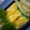 しゅんぺいのママ's cooksnap of when they made だし巻き卵.