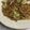 ごめっきー's cooksnap of when they made 絶賛！わが家の焼きそば.
