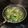 クックE9HTI0☆'s cooksnap of when they made 牛肉とピーマンのオイスターソース炒め.