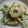 台湾っ子's cooksnap of when they made 水菜とちくわ.