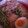 クックYN2SFJ☆'s cooksnap of when they made 簡単！本格派！！蒸し鶏の柚子胡椒ラーメン.