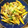 クック48HIQR☆'s cooksnap of when they made 筍と豚小間のオイスターソース炒め.