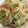 クックNEEC9X☆'s cooksnap of when they made 春キャベツとキノコのパスタ.