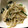 かまめ♪'s cooksnap of when they made ほうれん草ともやし＆えのきの胡麻和え.