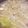 クックmii75's cooksnap of when they made *簡単！ポカポカオニオンスープ*.