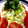 いじわるスナフキン's cooksnap of when they made 簡単お手軽たけのこのサラダ.