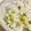 まーきー♪'s cooksnap of when they made 豆ごはん.