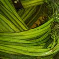 桃アン's cooksnap of when they made 【簡単失敗なし】重曹でワラビのアク抜き.