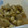 クック1F6BIL☆'s cooksnap of when they made 鶏モモと大根のてりやき.