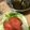夕飯は６時です's cooksnap of when they made ポン酢で簡単ドレッシング！.