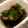 karikaricookie's cooksnap of when they made 茄子とピーマンの味噌炒め.