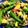 クックVQ3VYC☆'s cooksnap of when they made スナップえんどう 卵ガーリックバター炒め.