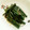 max4995's cooksnap of when they made 簡単常備菜☆わらびの柚子胡椒和え.