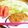 とごねぇ's cooksnap of when they made サラダチキンで手間削減！ミラノ風カツレツ.