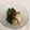 ヨチくん's cooksnap of when they made にんにくきび酢でたこときゅうりの酢の物.