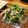 きよちゃんの畑から's cooksnap of when they made かぶの葉とカニかまサラダ♪.