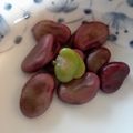 ベーカー's cooksnap of when they made そらまめの色鮮やかゆで方.