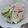 ゆりっぺ8888's cooksnap of when they made 新発田市給食レシピ！かぶのもも色サラダ.