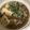 クックMGRUSB☆'s cooksnap of when they made 簡単!炊飯器任せDE牛すじ煮込み豆腐♪.