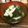 卵せんべい's cooksnap of when they made 端午の節句・こどもの日　たけのことわかめのお吸い物(若竹汁).