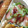 あっぷるん☆'s cooksnap of when they made お弁当に♪　簡単　ちくわピザ.