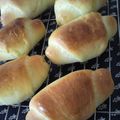 べびたんちびたん's cooksnap of when they made バターロール.