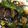 クック53NOG1☆'s cooksnap of when they made ニンニク、生姜たっぷり！揚げナス南蛮.
