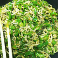茶茶ちー's cooksnap of when they made ピーマン嫌いでも食べれるじゃこ炒め.