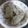 けろり島's cooksnap of when they made キャベツ餃子.