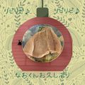 tuxedocat's cooksnap of when they made 鶏むね肉の観音開き.