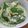 daikanon's cooksnap of when they made 俺流！絹さやの玉子とじ.