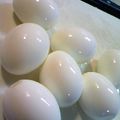 ＠レツ's cooksnap of when they made ｢ゆで卵｣.